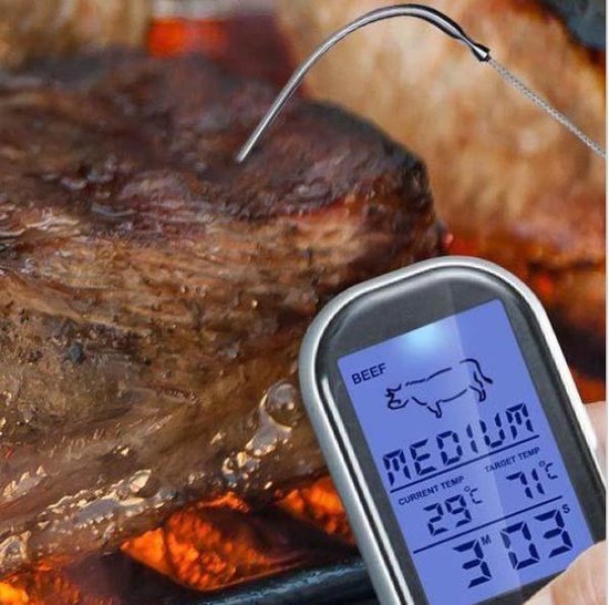 Digital Kitchen Thermometer - Stainless Steel/Plastic - Gray/Silver